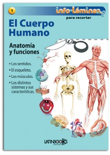 El cuerpo humano