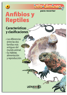 Anfibios y reptiles