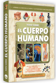 El cuerpo humano