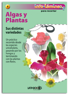 Algas y plantas